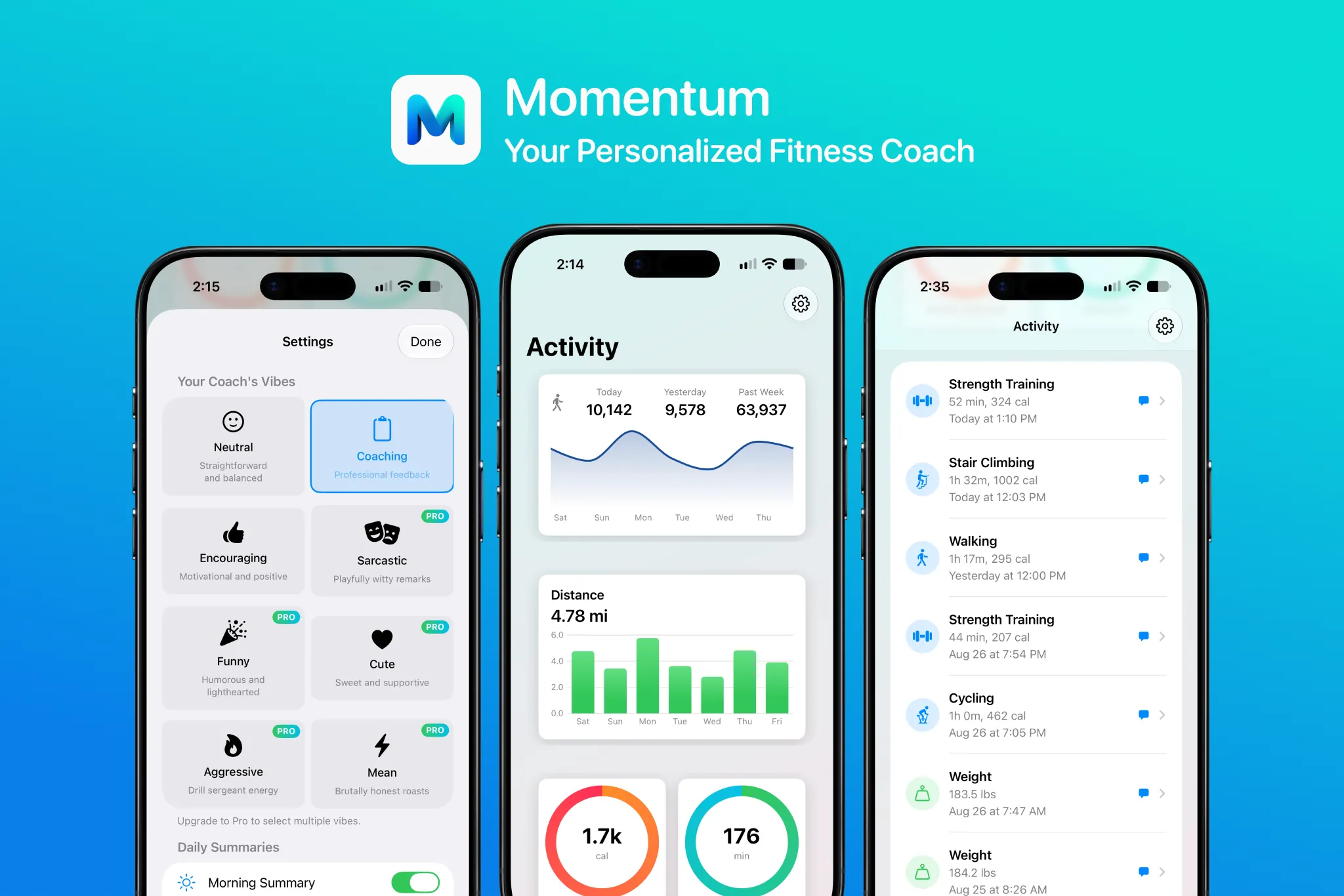 Momentum